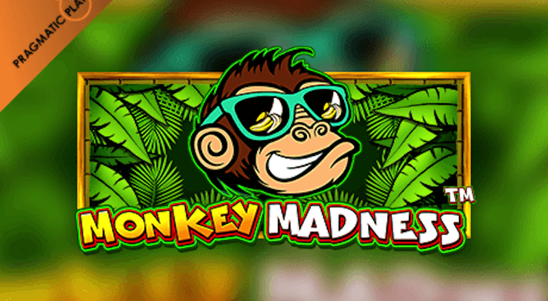 Đánh giá game slot Monkey Madness (RTP 96,53%) & Chơi miễn phí